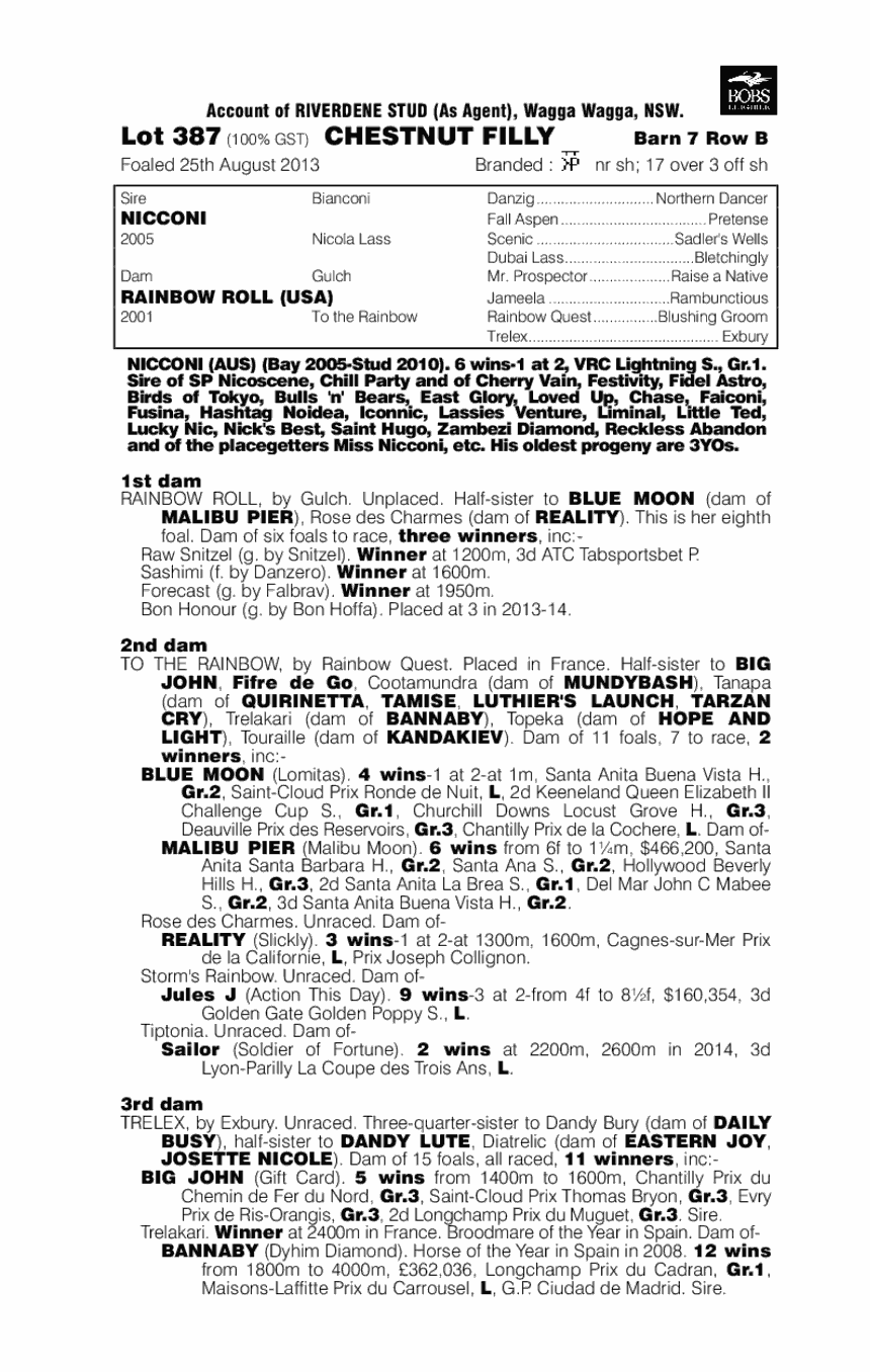 Nicconi (AUS) / Rainbow Roll (USA) - pedigree