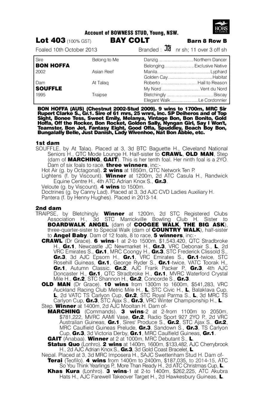 Bon Hoffa (AUS) / Souffle (AUS) - pedigree
