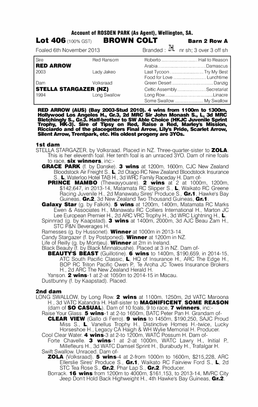 Red Arrow (AUS) / Stella Stargazer (NZ) - pedigree