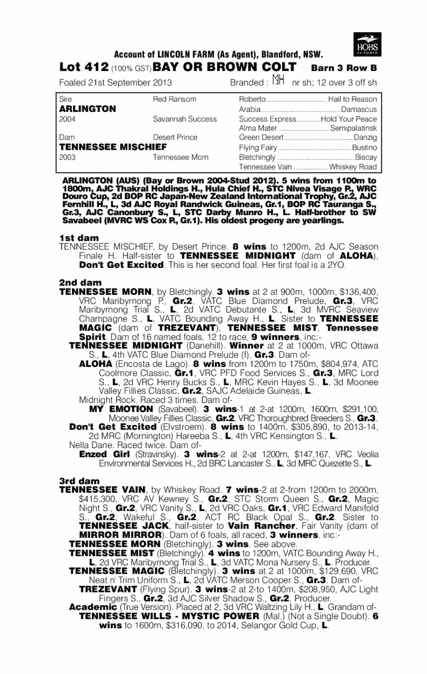 Tennessee Man (AUS) - pedigree