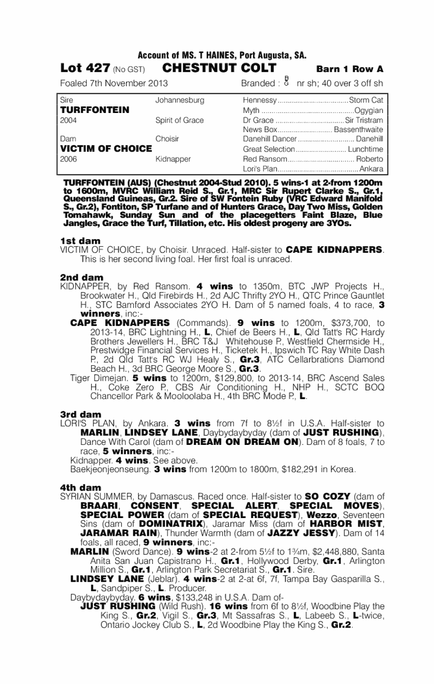 Turffontein (AUS) / Victim Of Choice (AUS) - pedigree