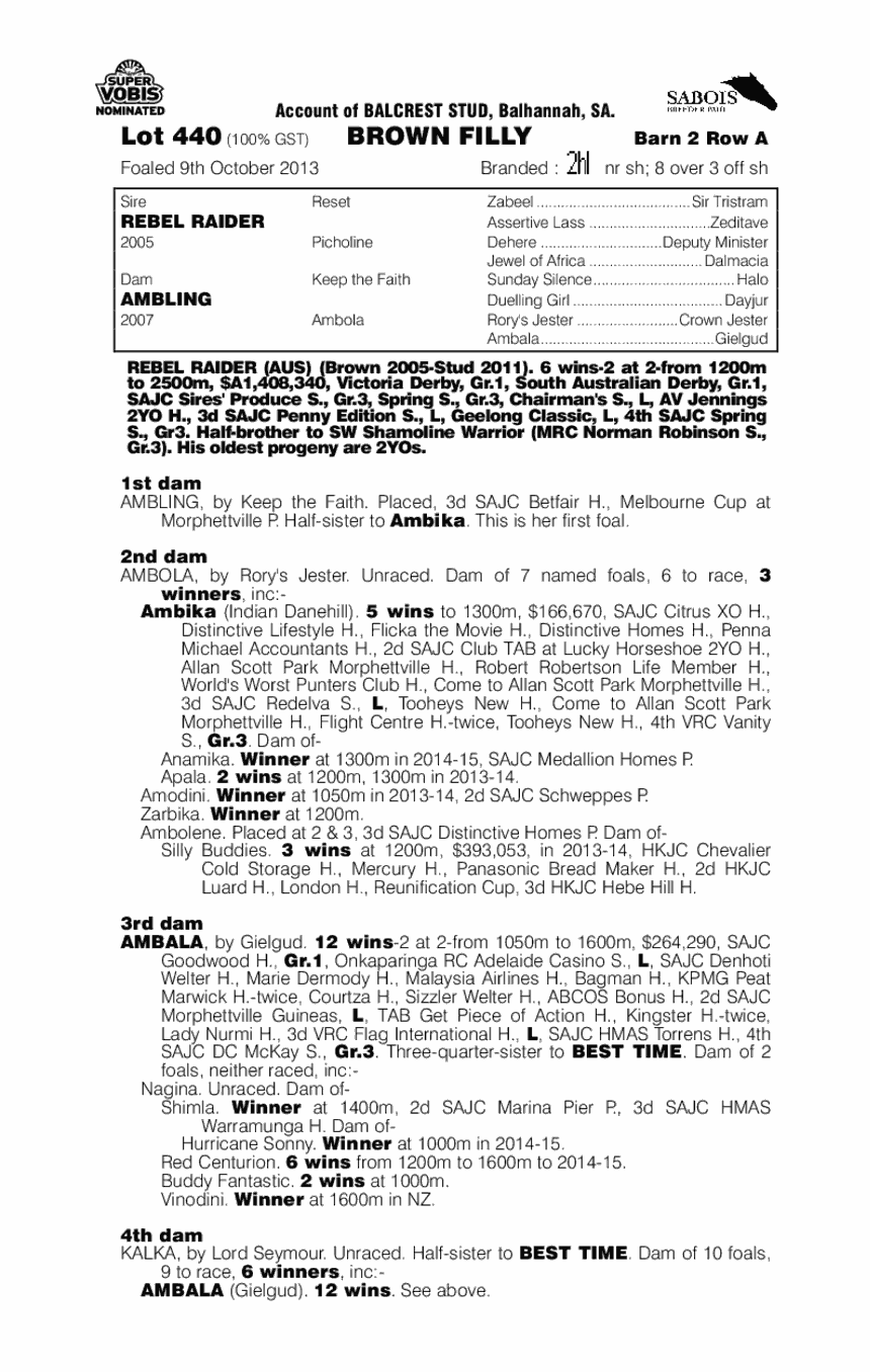 Rambling Raider (AUS) - pedigree