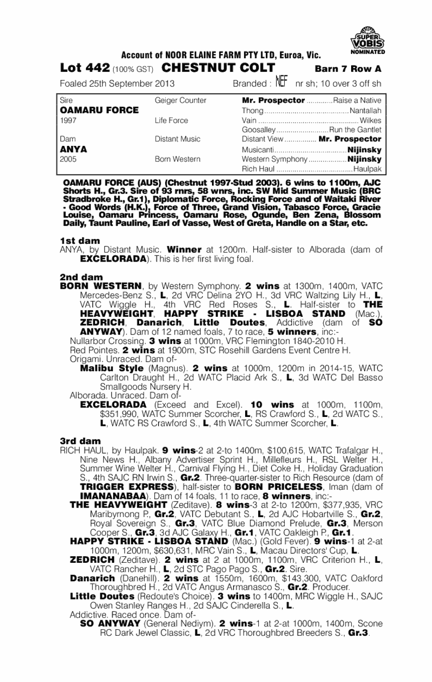 Oamaru Force (AUS) / Anya (AUS) - pedigree