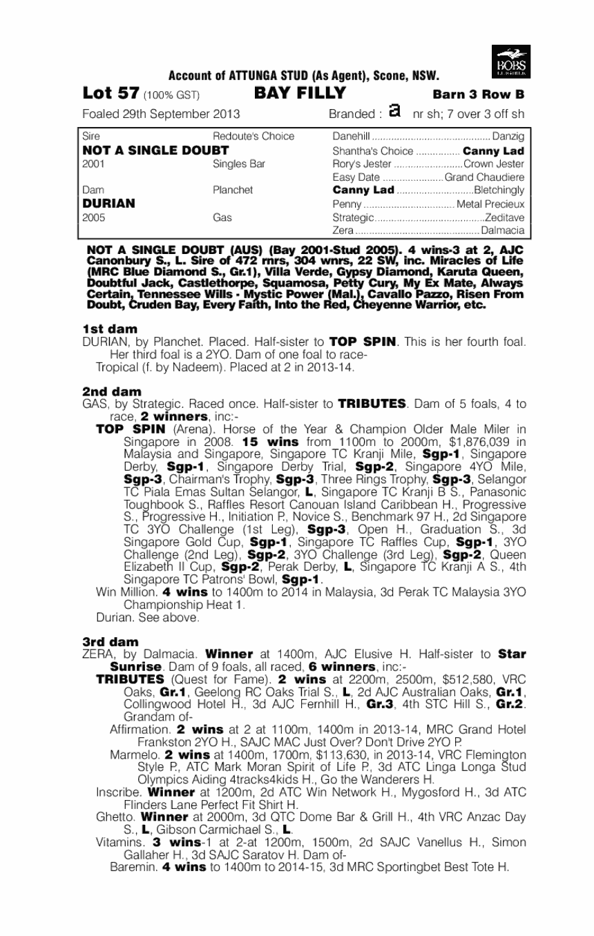 None At All (AUS) - pedigree