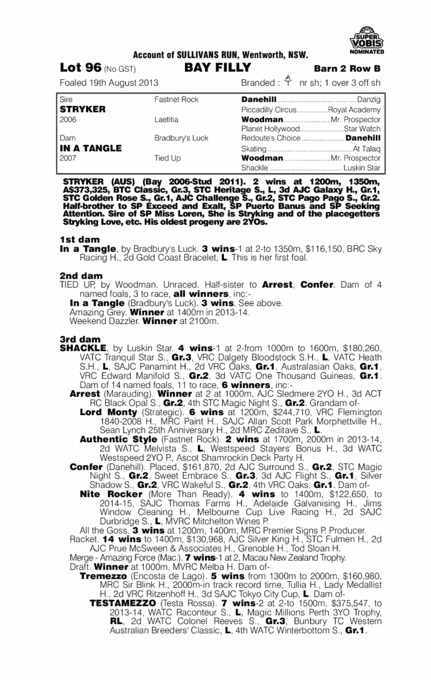 Stryker (AUS) / In A Tangle (AUS) - pedigree