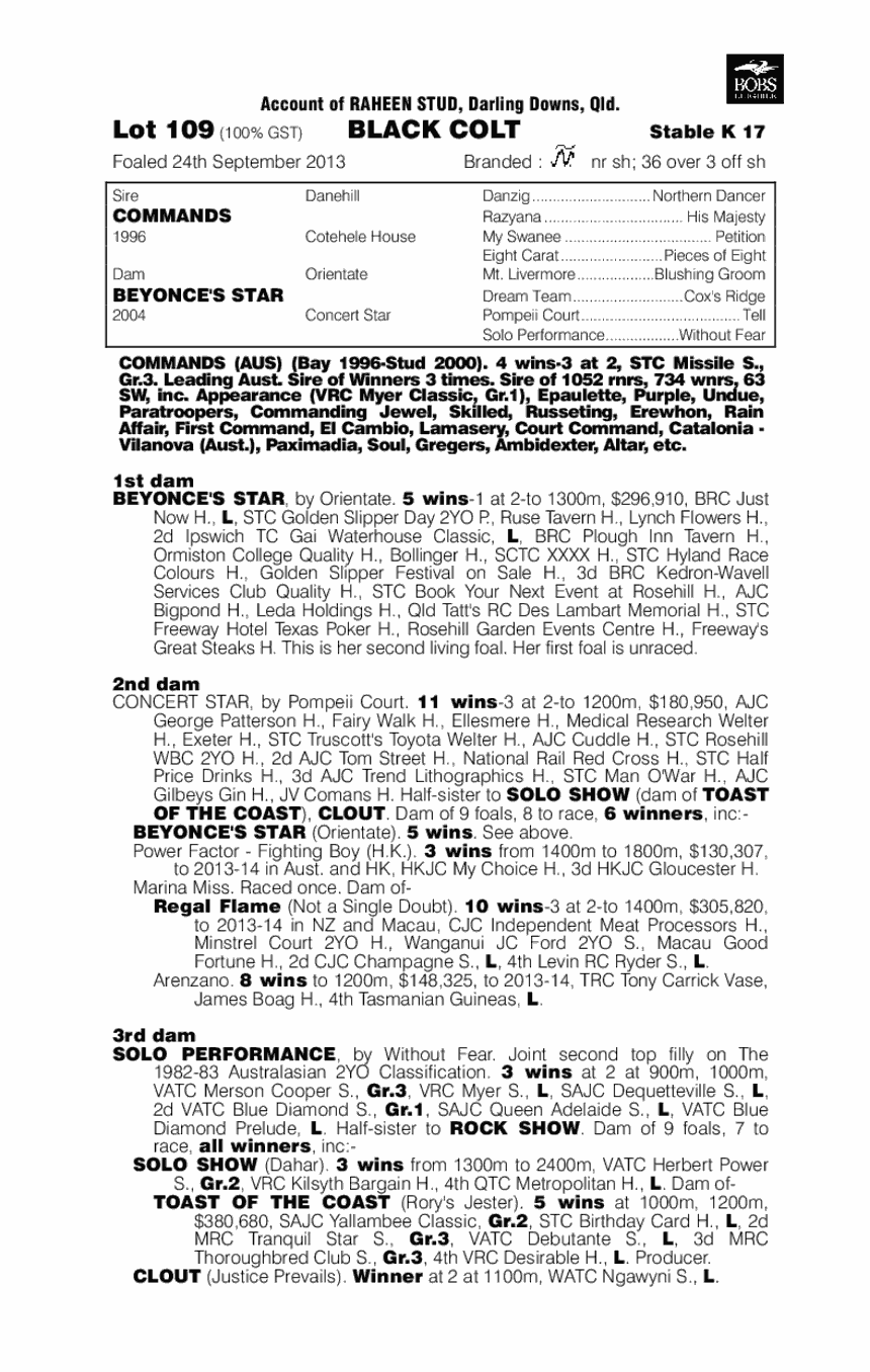 Commands (AUS) / Beyonce's Star (AUS) - pedigree