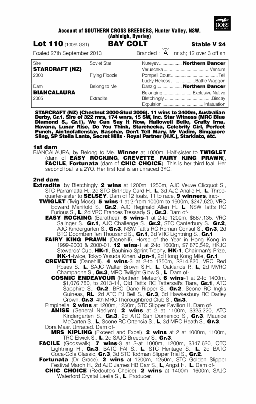 Starcraft (NZ) / Biancalaura (AUS) - pedigree