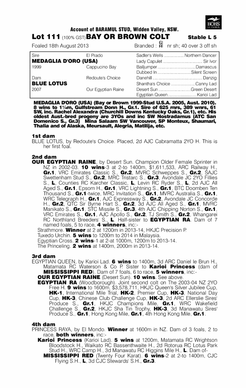 Medaglia d'Oro (USA) / Blue Lotus (AUS) - pedigree