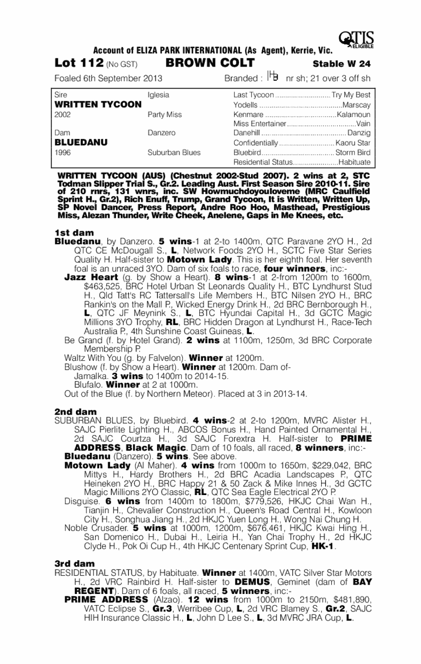 Written Tycoon (AUS) / Bluedanu (AUS) - pedigree