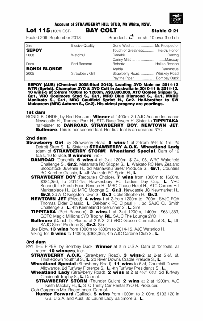 Distroyia (AUS) - pedigree