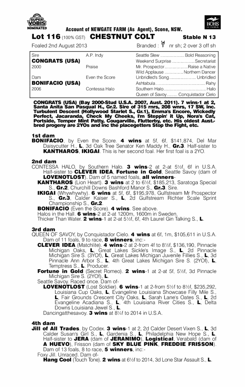 Reverence (AUS) - pedigree