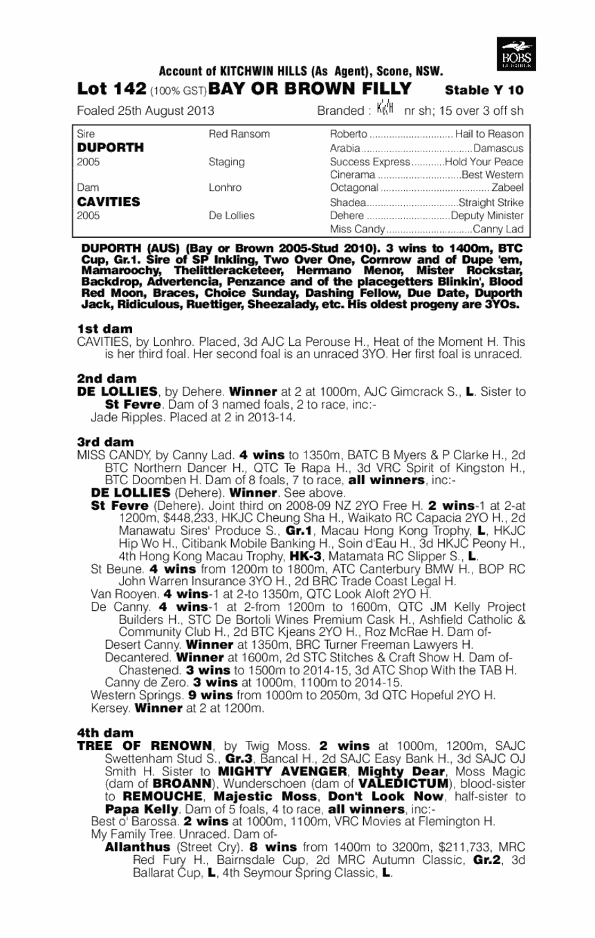 Duporth (AUS) / Cavities (AUS) - pedigree