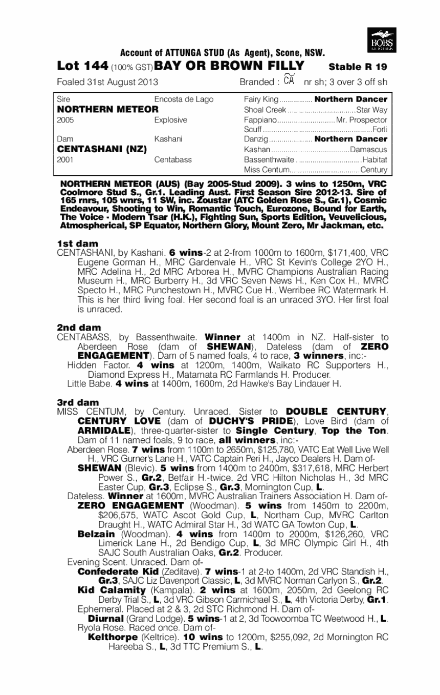 Aurora Rose (AUS) - pedigree