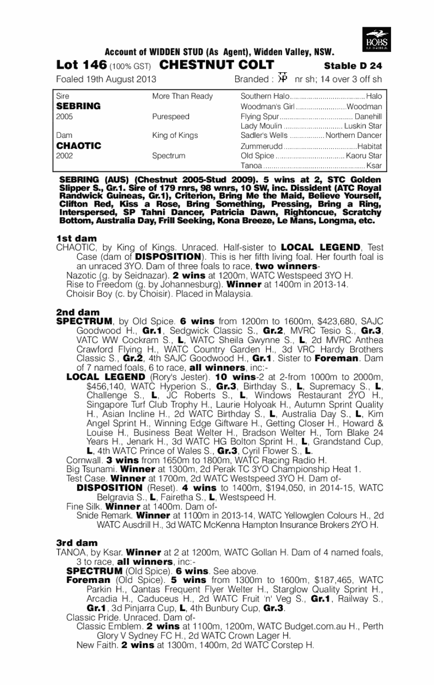 Riotman (AUS) - pedigree