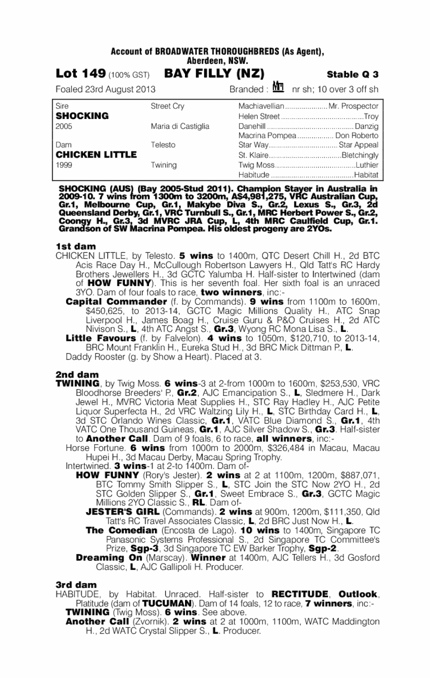 Little Shocker (NZ) - pedigree