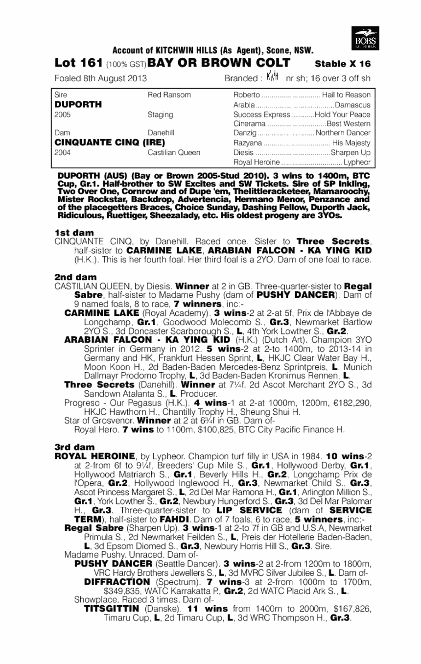 Duporth (AUS) / Cinquante Cinq (IRE) - pedigree