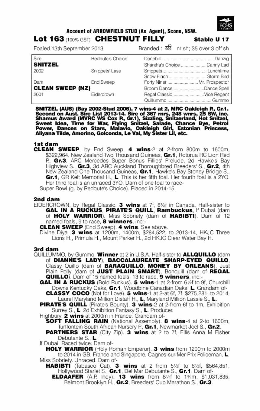 Kascata (AUS) - pedigree