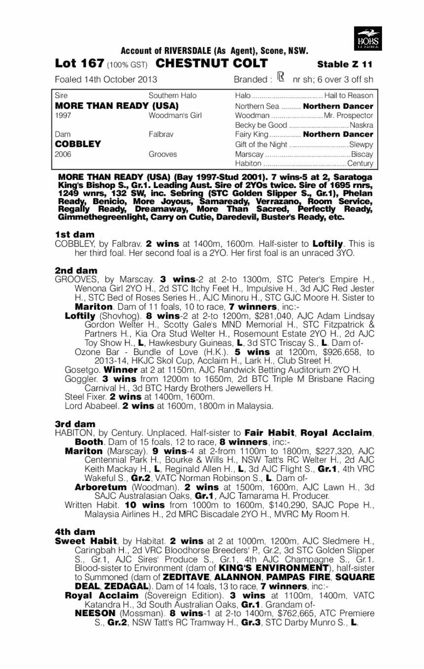 Cobbmore (AUS) - pedigree