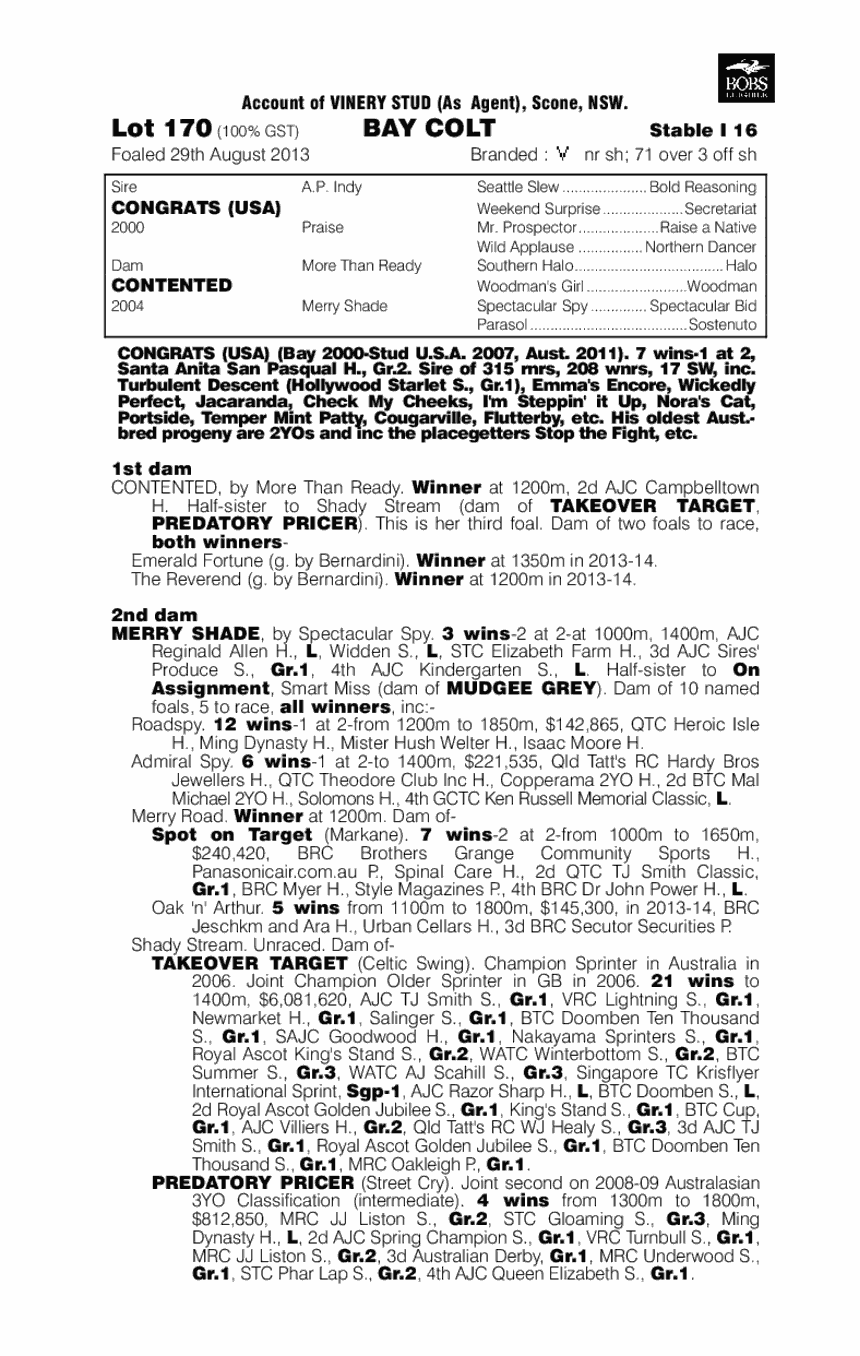 Congrats (USA) / Contented (AUS) - pedigree