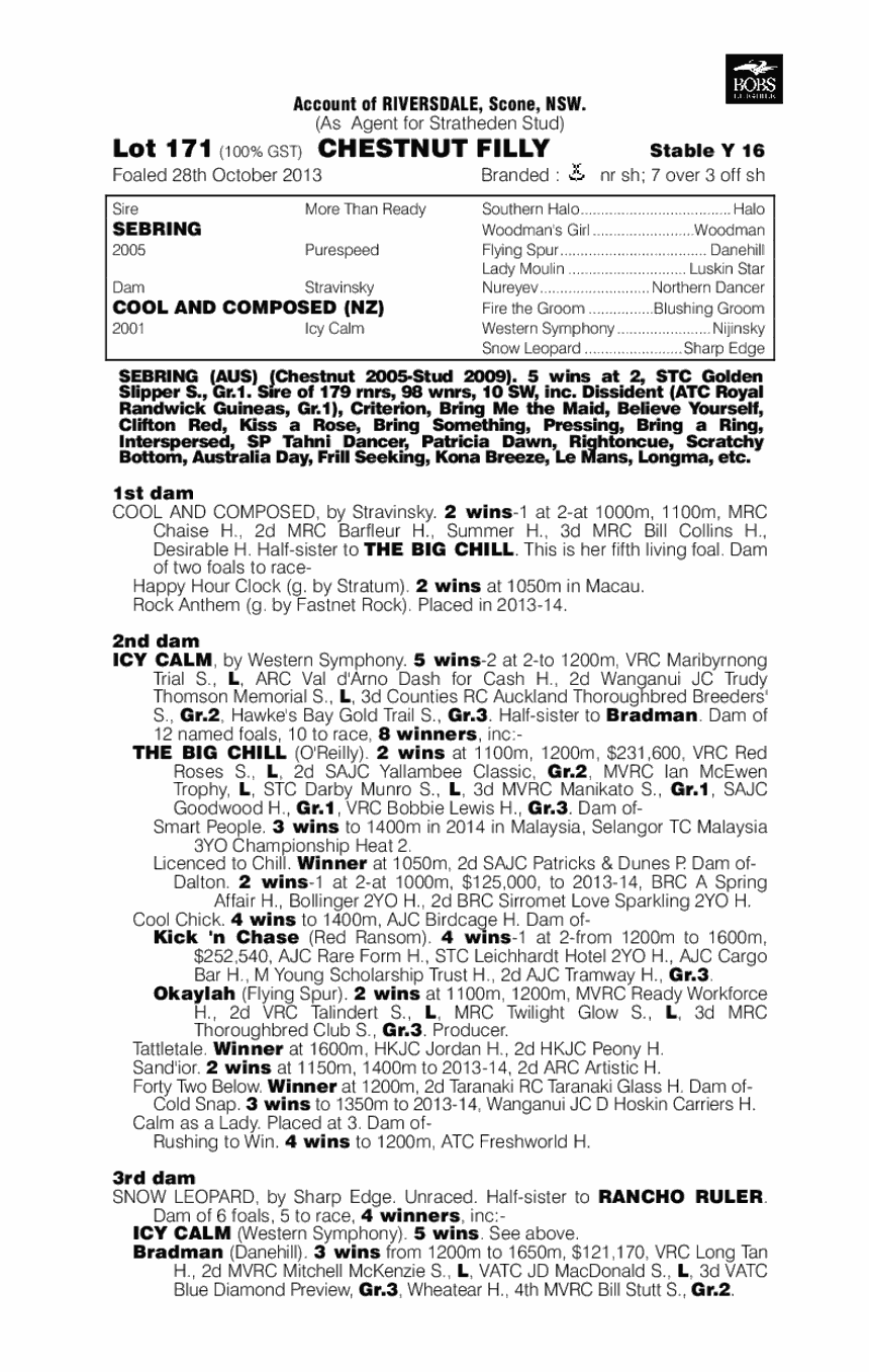 Sebring (AUS) / Cool and Composed (NZ) - pedigree