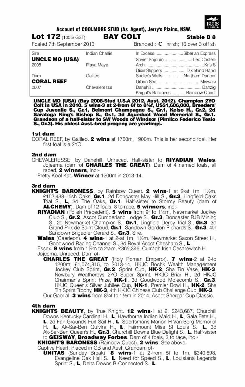 Hollywood Mo (AUS) - pedigree