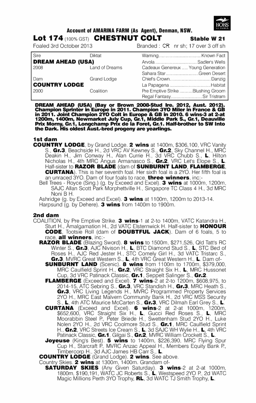 Dream Ahead (USA) / Country Lodge (AUS) - pedigree