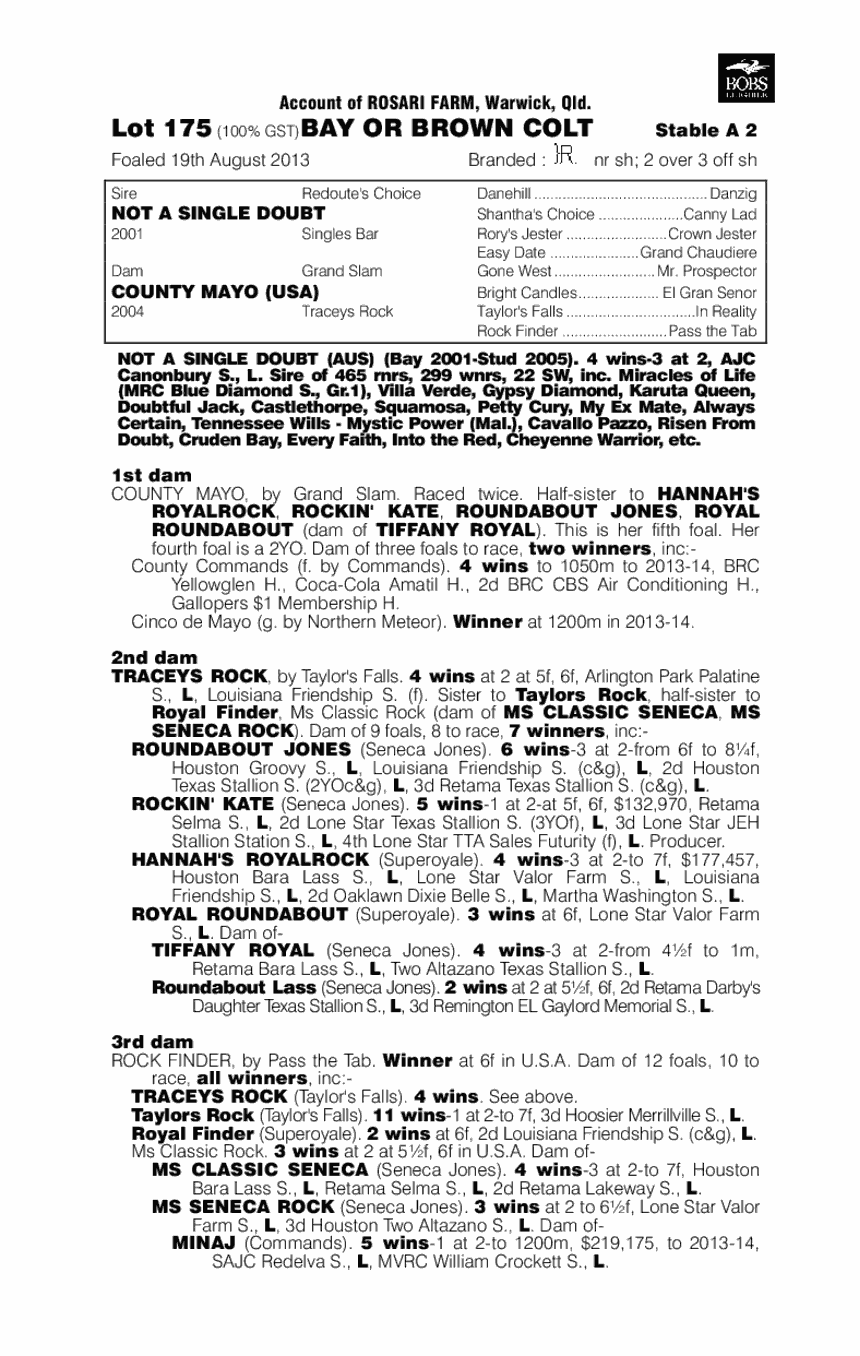 Not a Single Doubt (AUS) / County Mayo (USA) - pedigree