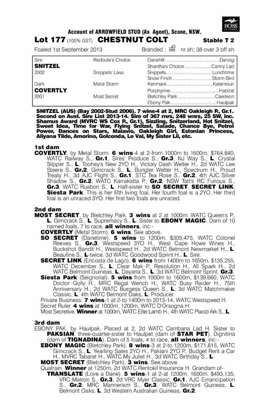Detective (AUS) - pedigree
