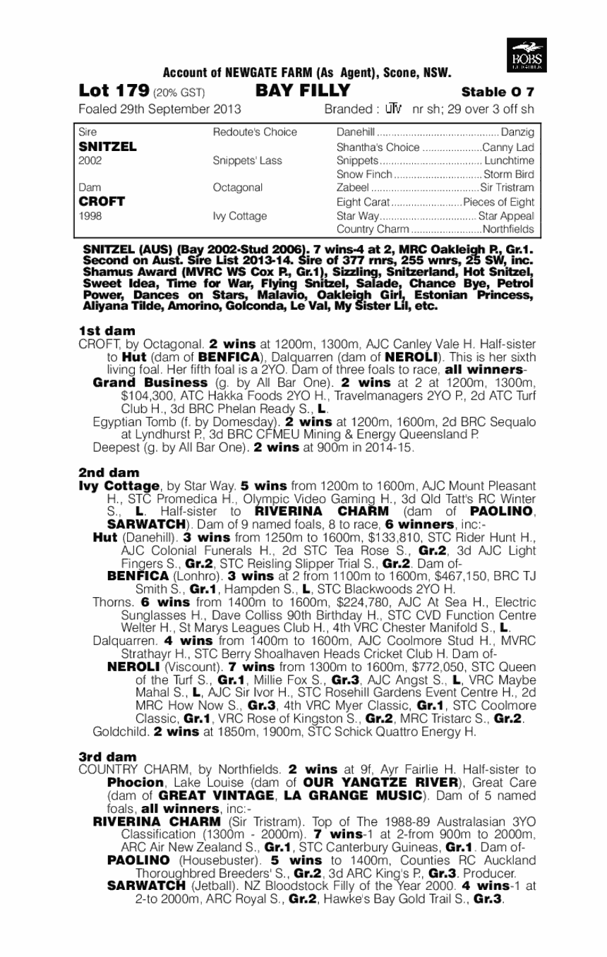 Miss Tomb Raider (AUS) - pedigree