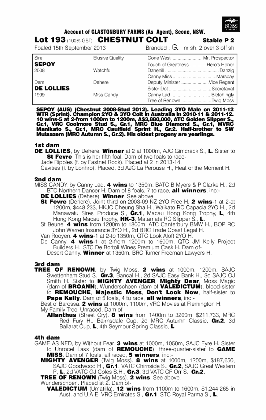 Party Bag (AUS) - pedigree