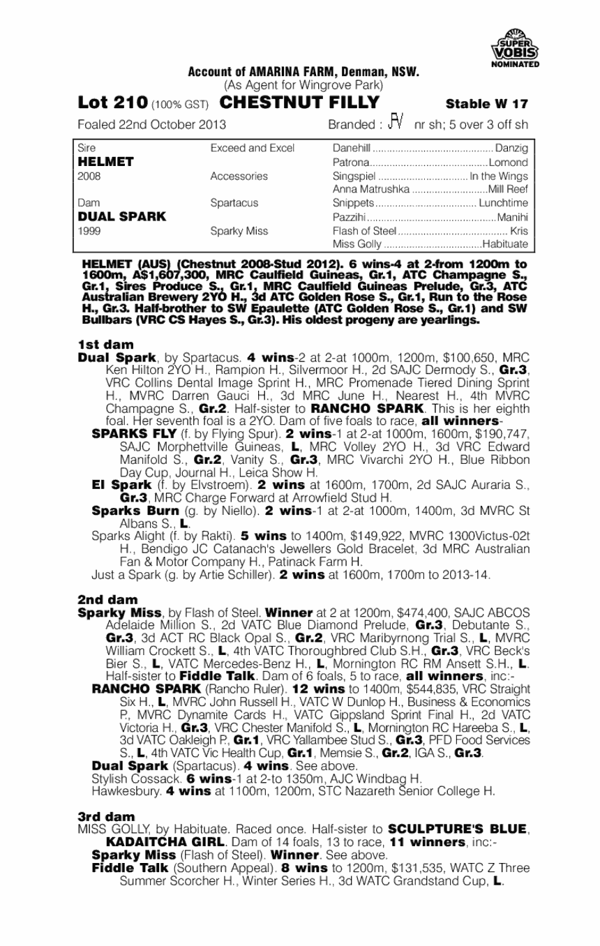 Metallic Spark (AUS) - pedigree