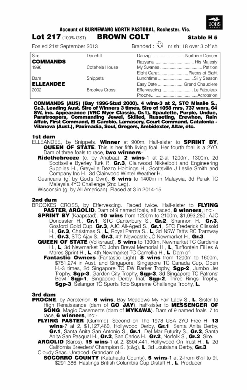 Commands (AUS) / Elleandee (AUS) - pedigree