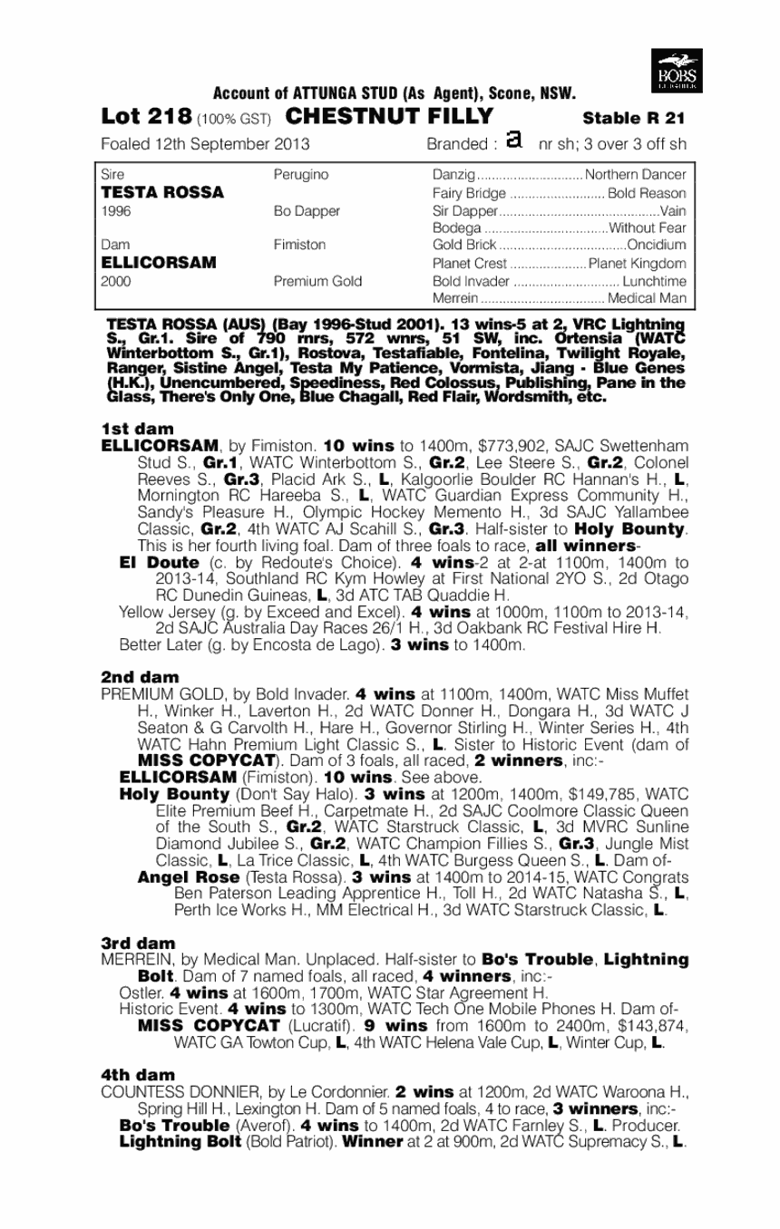 Ellicazoom (AUS) - pedigree