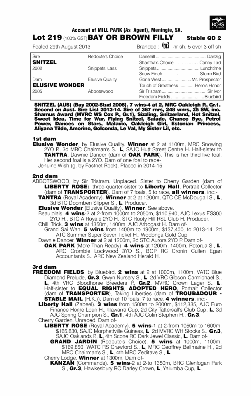 Modern Wonder (AUS) - pedigree