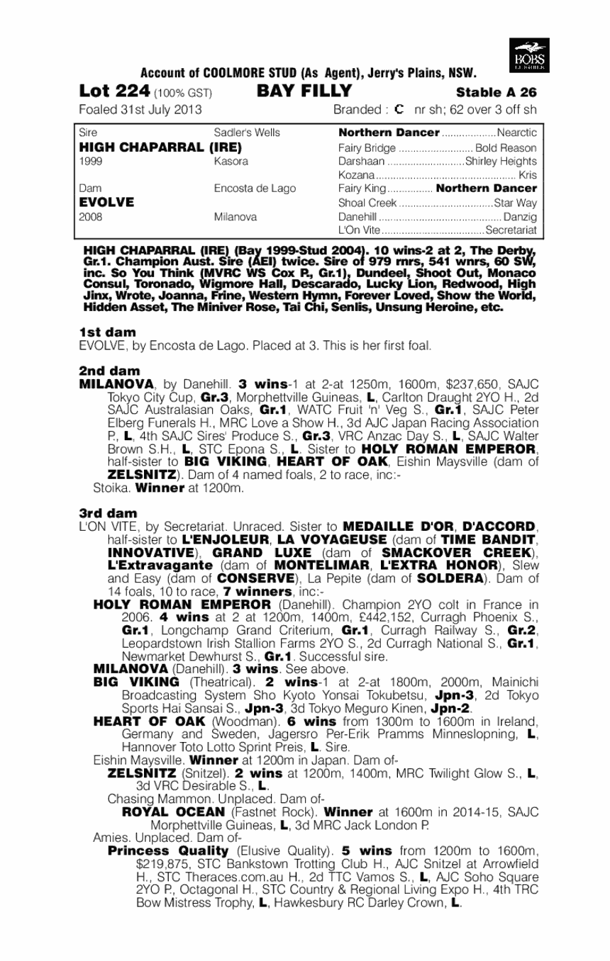 High Chaparral (IRE) / Evolve (AUS) - pedigree