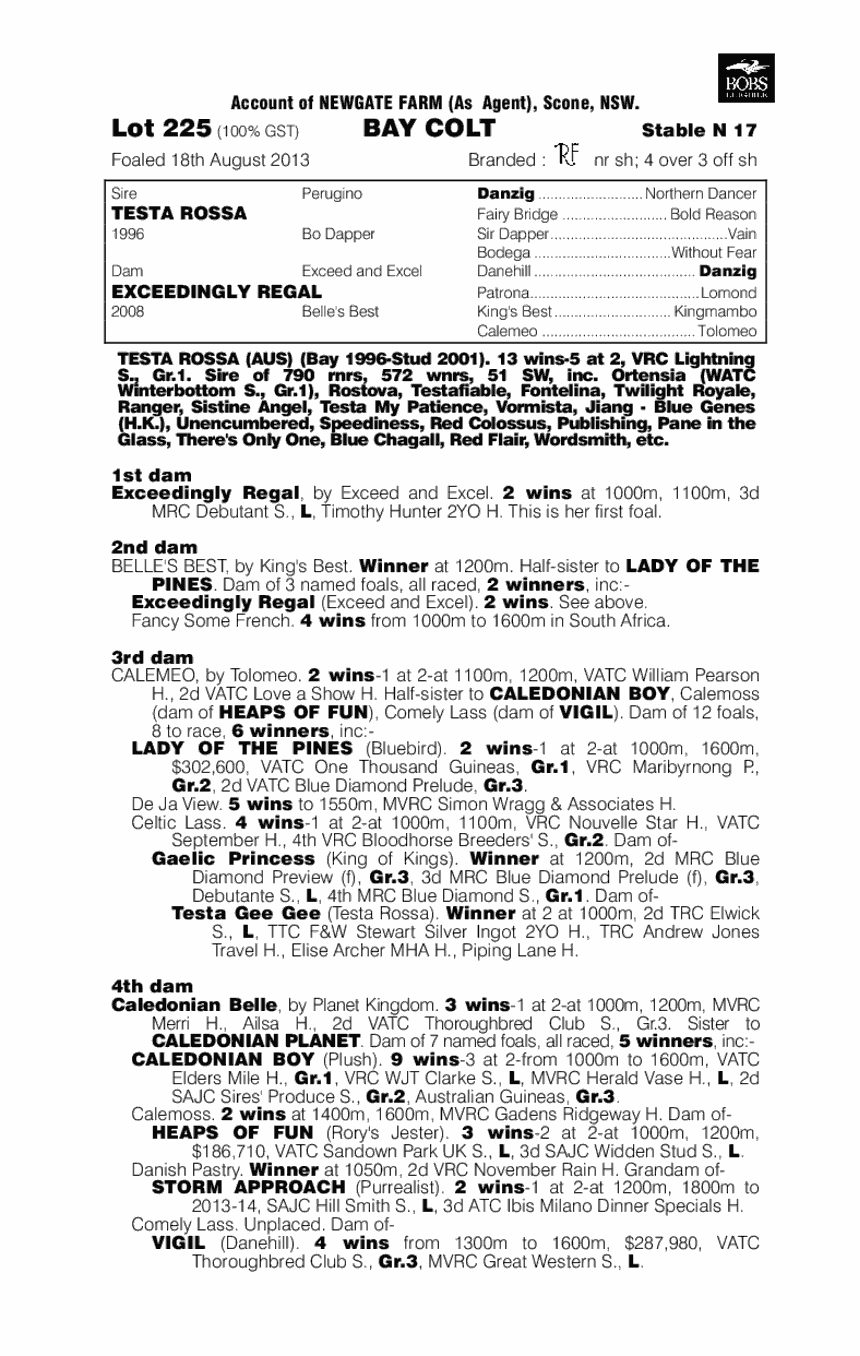 Testa Rossa (AUS) / Exceedingly Regal (AUS) - pedigree