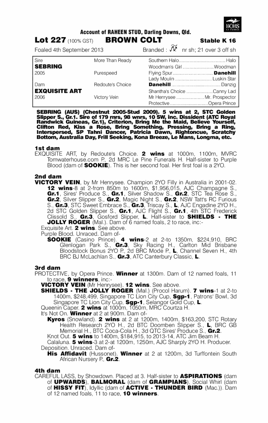 Dot Painting (AUS) - pedigree