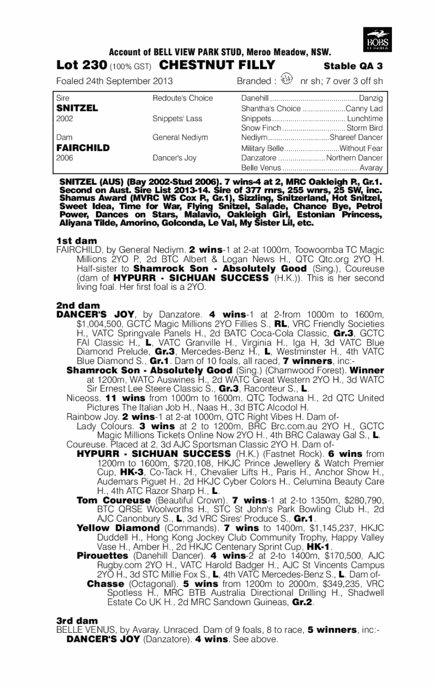 Suspenders (AUS) - pedigree