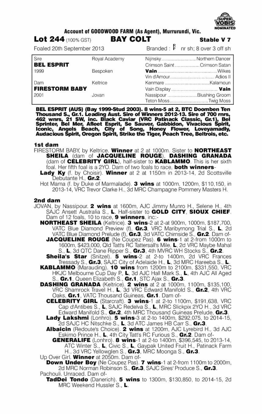 Bel Esprit (AUS) / Firestorm Baby (AUS) - pedigree