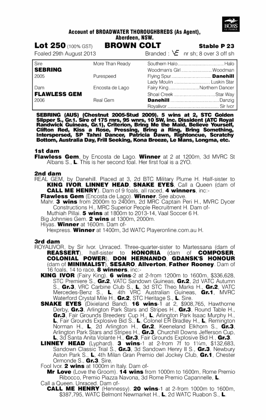 Halogem (AUS) - pedigree