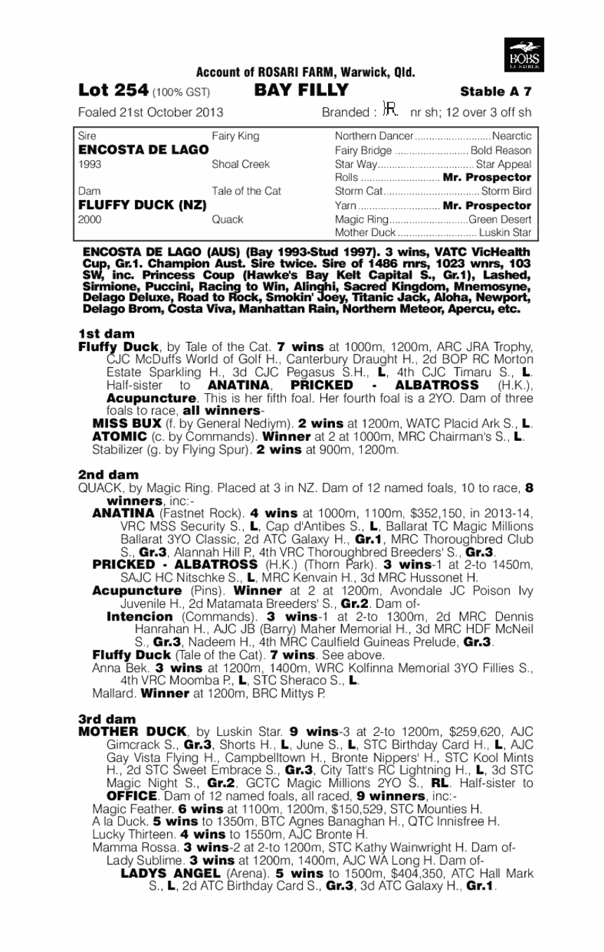 Encosta de Lago (AUS) / Fluffy Duck (NZ) - pedigree