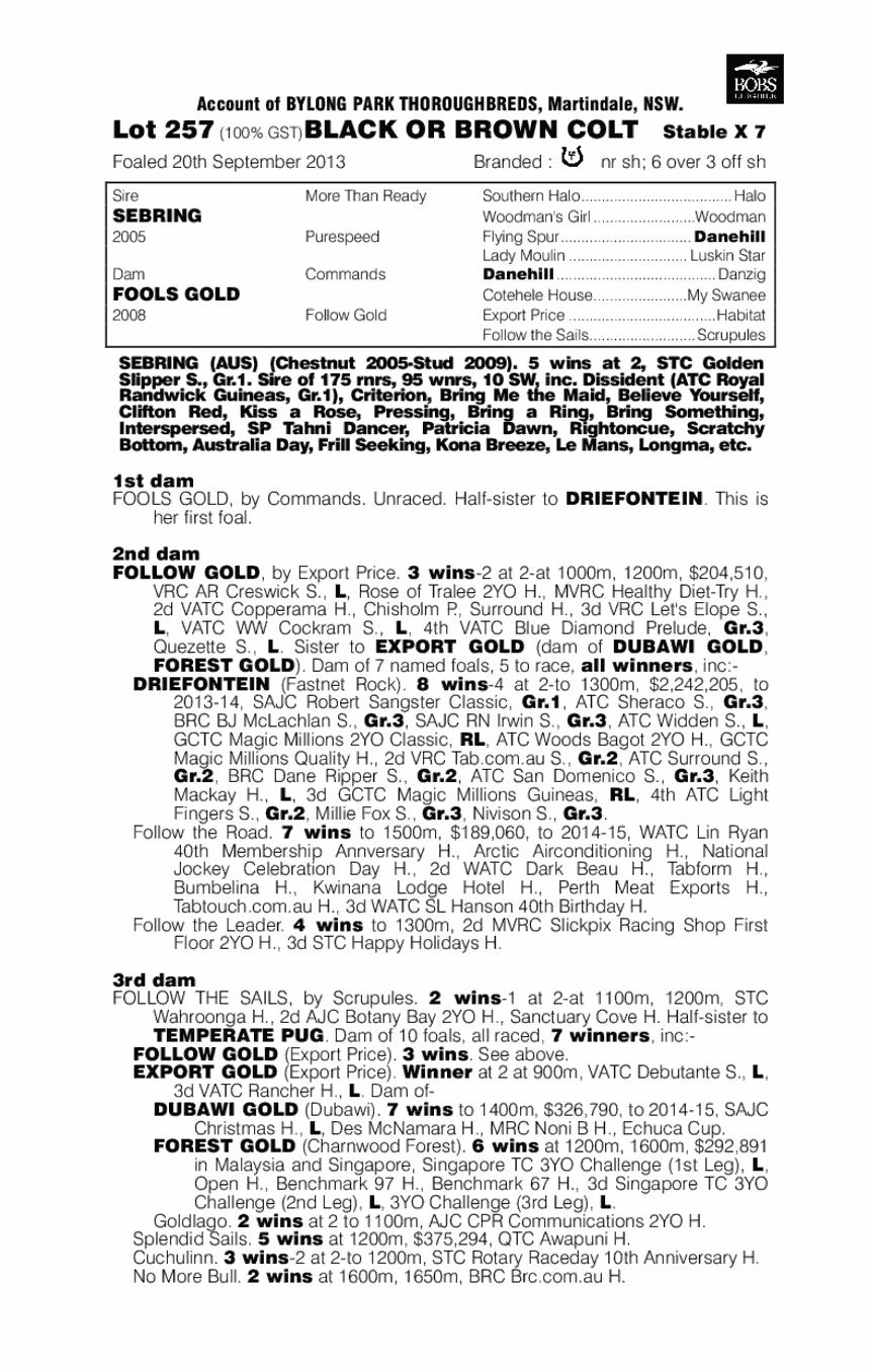 Black On Gold (AUS) - pedigree