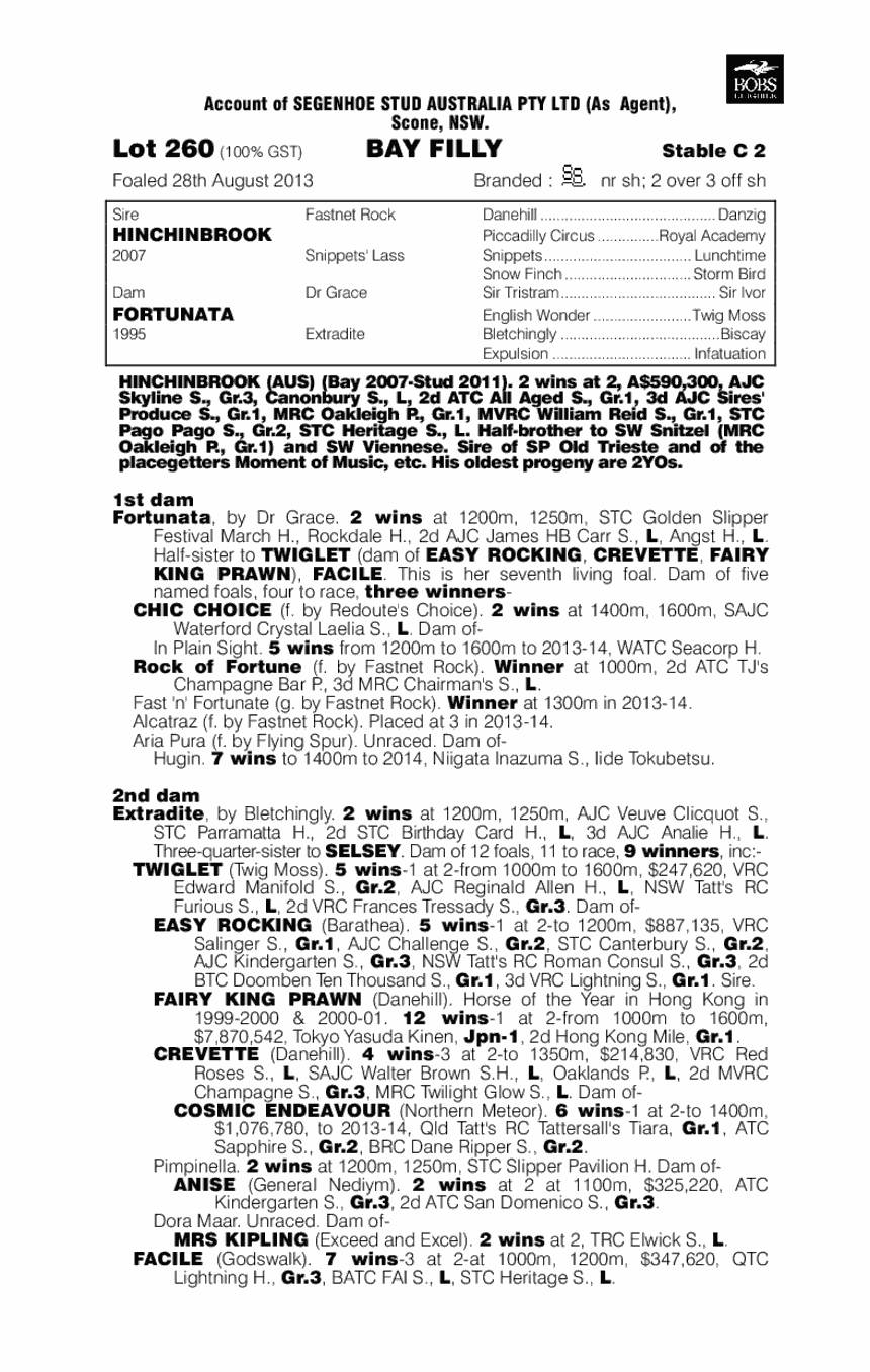 First Channel (AUS) - pedigree