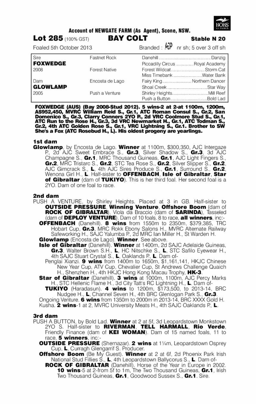 Foxwedge (AUS) / Glowlamp (AUS) - pedigree
