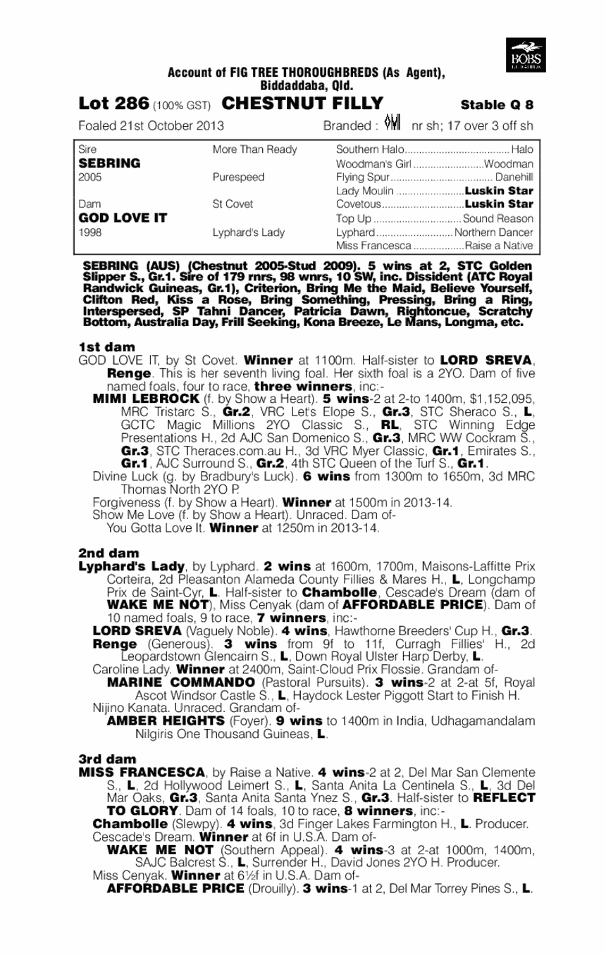 Shoko (AUS) - pedigree