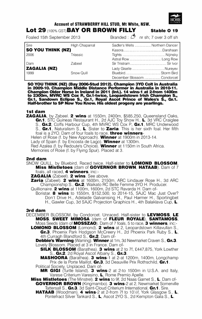 Rodin's Doll (AUS) - pedigree