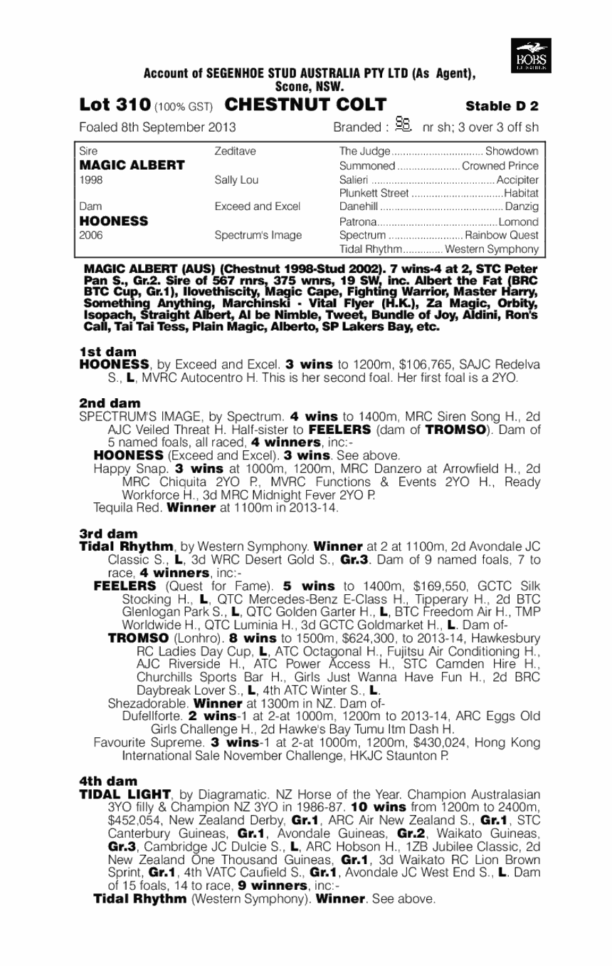 Orientex (AUS) - pedigree