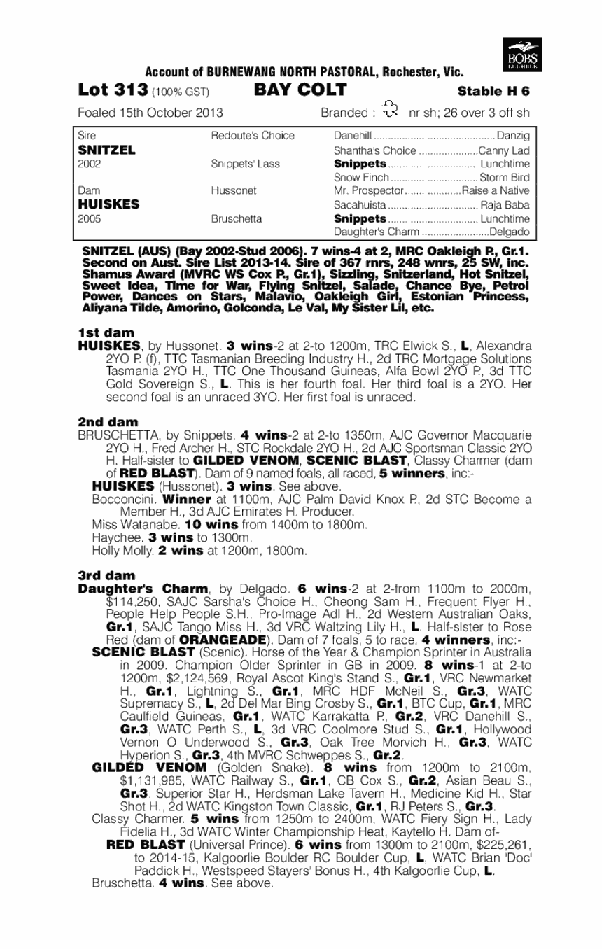 Pub Grub (AUS) - pedigree