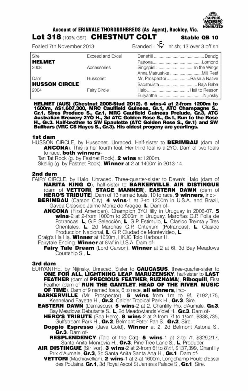 Helmet (AUS) / Husson Circle (AUS) - pedigree