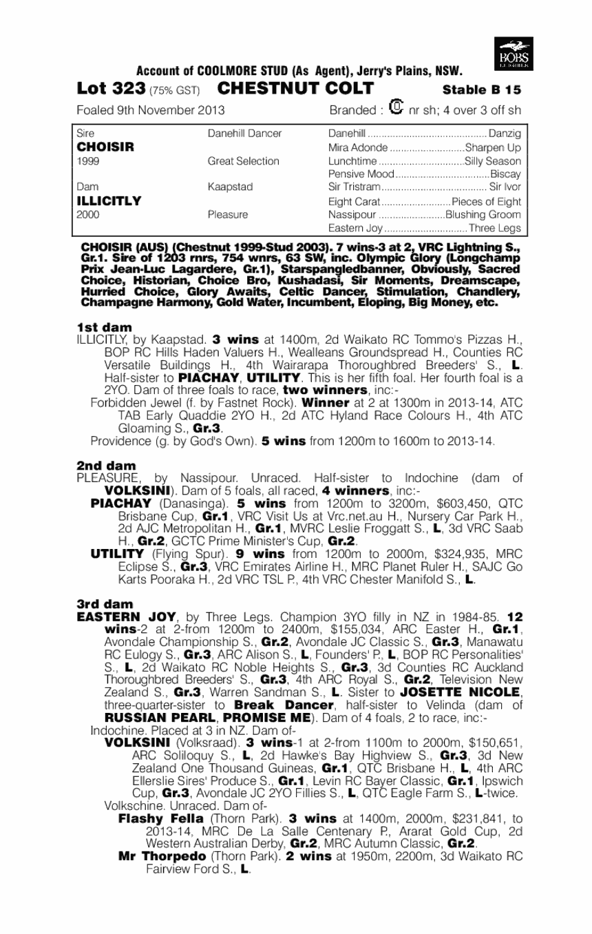 Choisir Socks (AUS) - pedigree